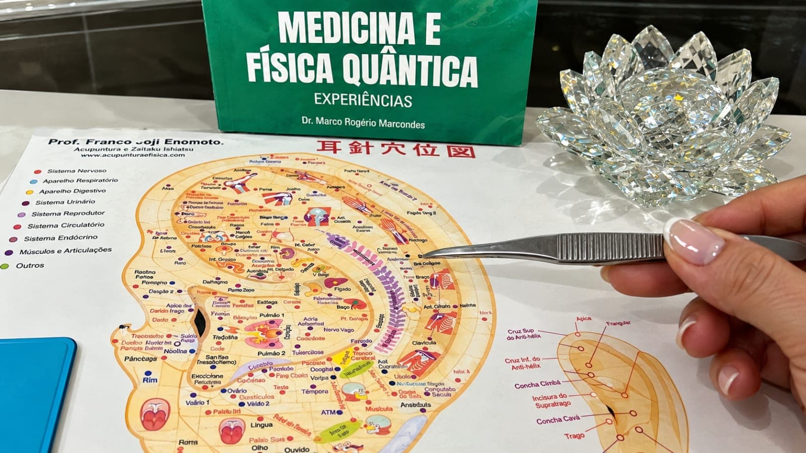 Auriculoterapia e bem-estar